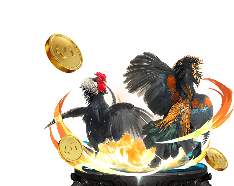 Đá Gà Trực Tuyến xs66